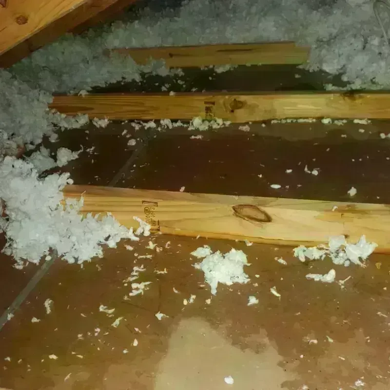 Attic Water Damage in Annandale, VA