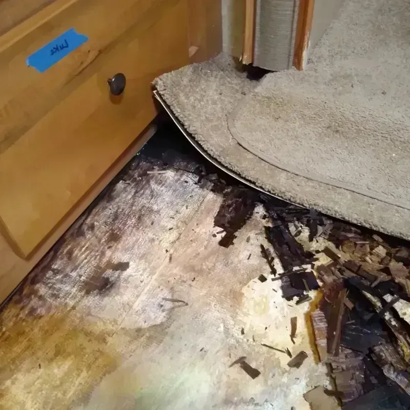 Wood Floor Water Damage in Annandale, VA